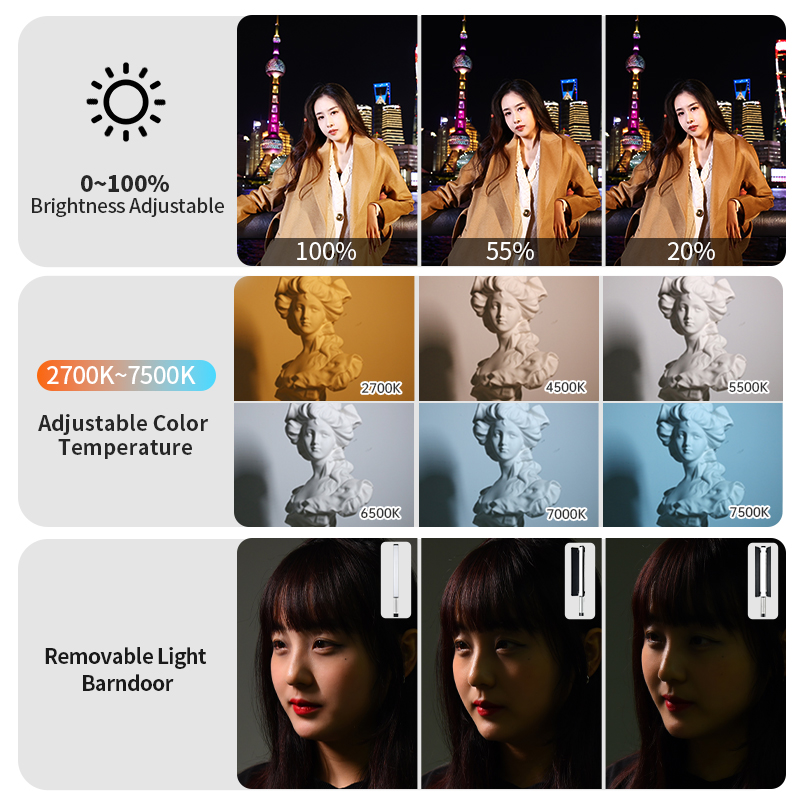 JINBEI EFT-220BI Luce LED Port - Photography Videos Free recensione e prezzo